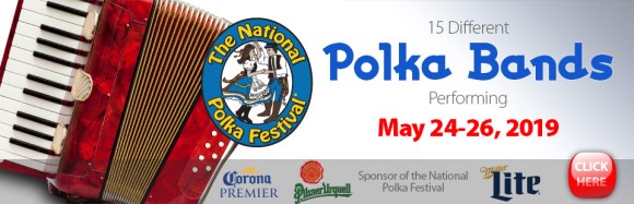 Polka banner