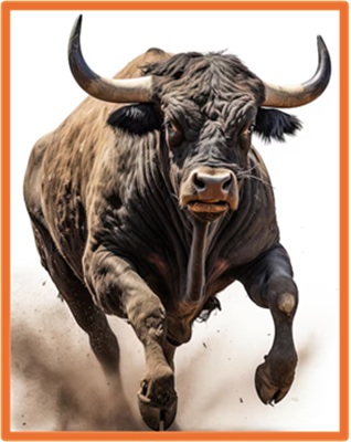 Rodeo Bull image